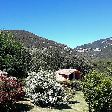 Can Pedragos Sales de Llierca Экстерьер фото