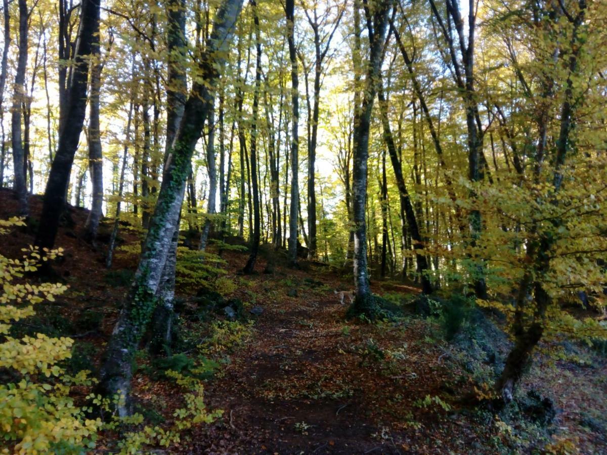 Can Pedragos Sales de Llierca Экстерьер фото