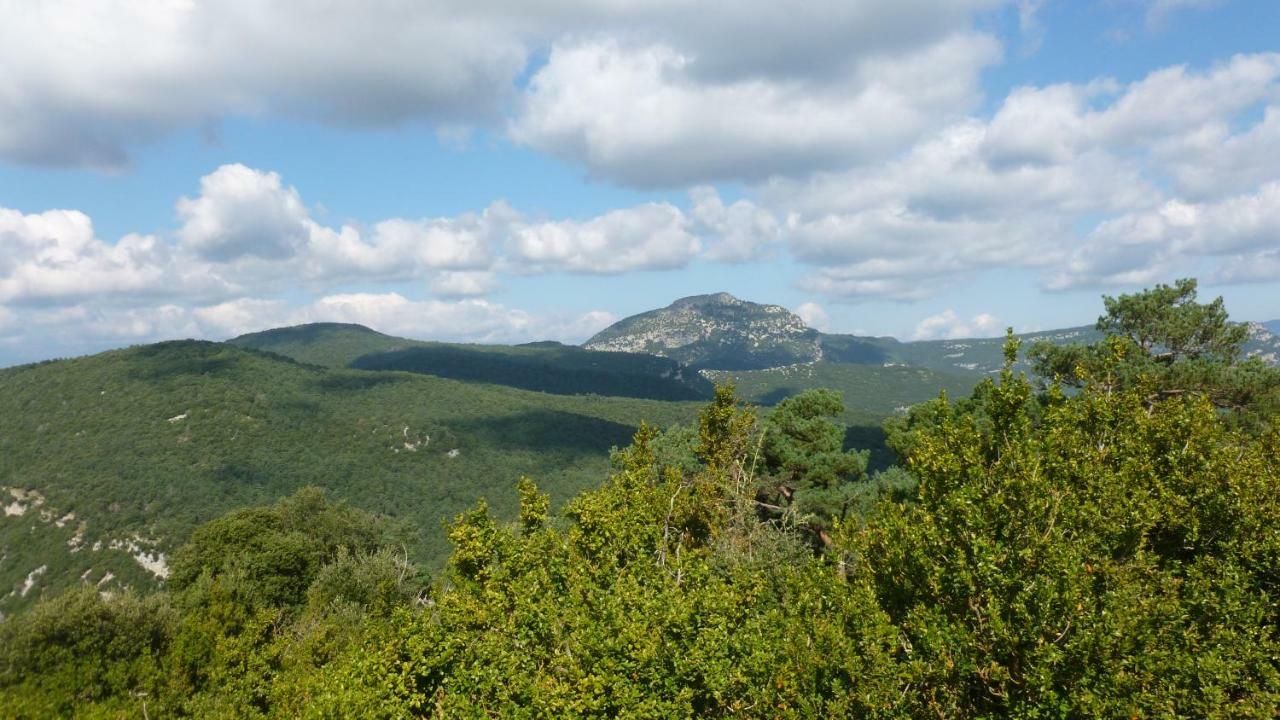 Can Pedragos Sales de Llierca Экстерьер фото